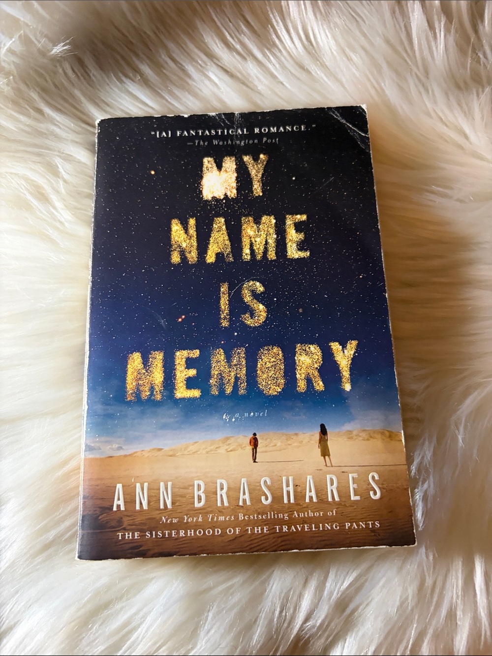 📚 3 for $15 📚 “My Name Is Memory" Paperback — Blue & Tan Cover